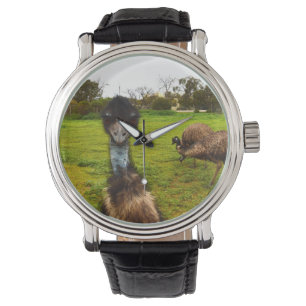 Relógio "Interrupção de penas: O Fotobomb Emu Excelente"