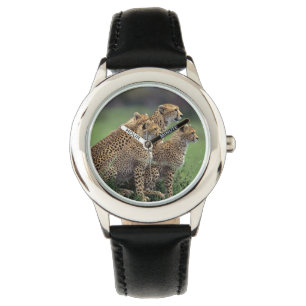 Relógio Kids Classic Watch/Wildlife Cheetah's