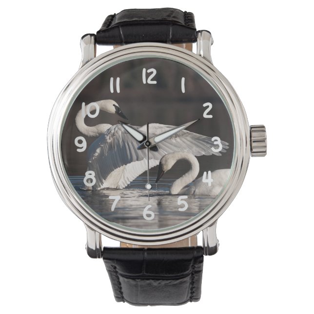 Relógio Loving Swans (Frente)