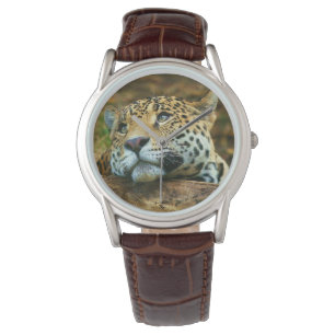 Relógio Mens Classic Watch/Wildlife Leopard