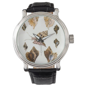 Relógio Moluscos e Caracóis Vintage, Organismos da Vida Ma