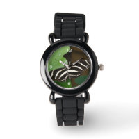 Monitorização da Borboleta de Zebra bonito