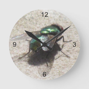 Relógio - Moscas de Tempo