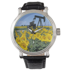 Relógio Na, EUA, Colorado, Sunflower, Oil Derrick