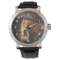 Nariz de Cavalo Marrom