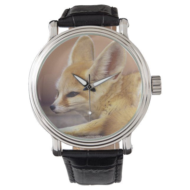 Relógio Norte da África. Feneco Fennecus zerda) (Frente)