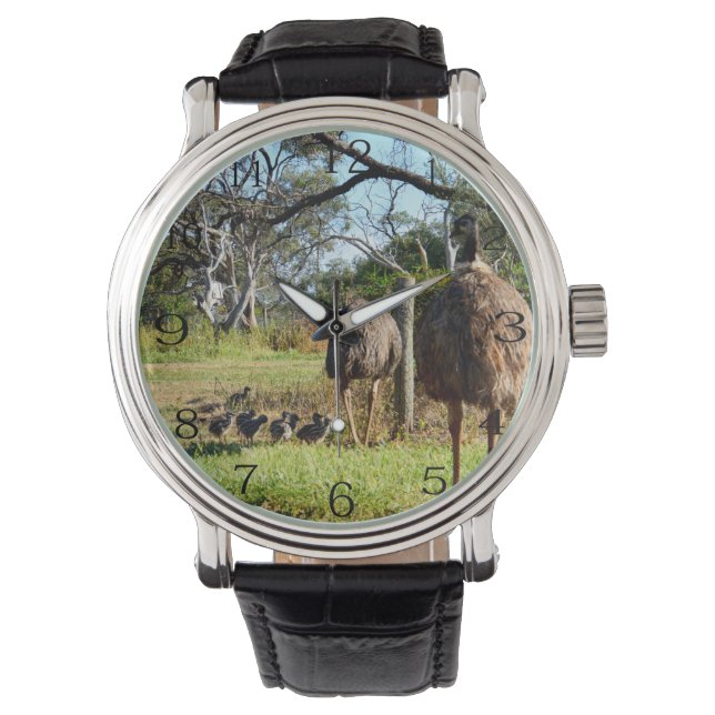 Relógio Orgulhosos Pais De Emu Com Pintinhos, (Frente)