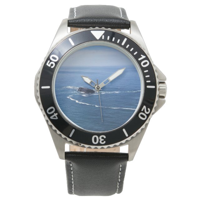 Relógio Otter Rock, Cape Foulweather, Newport, Oregon (Frente)