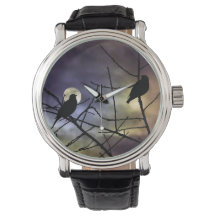 Outubro Noite Birds Watch