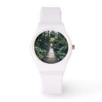Passeio Pela Floresta