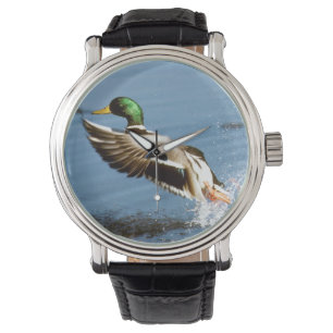 Relógio Pato de Drake do pato selvagem
