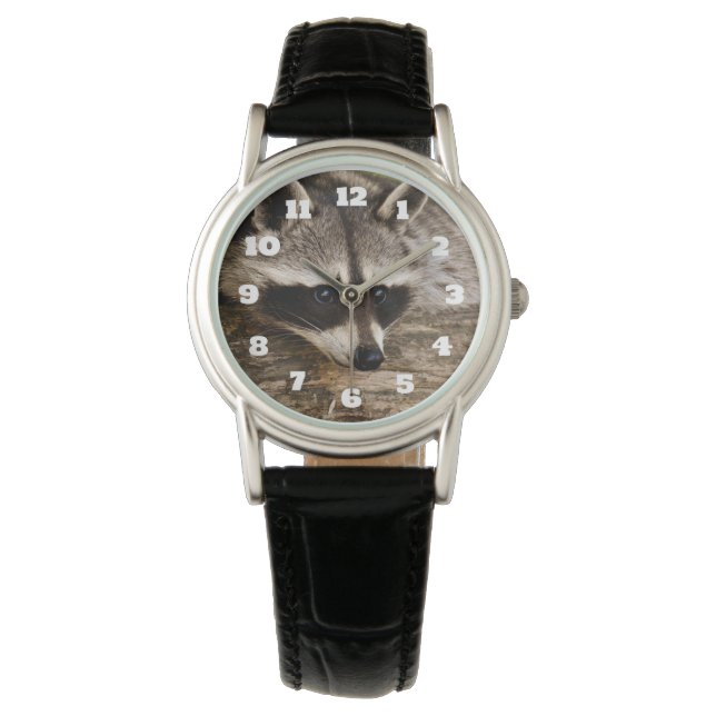 Relógio Pedaço de guaxinim em um registro (Frente)