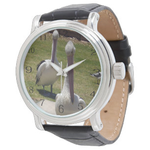 Relógio Penas Desabrochadas: Pelicanos Com Atitude,