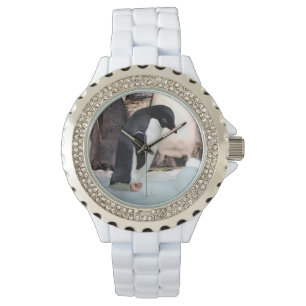 Relógio Penguin Watch - Muitos estilos de onde escolher