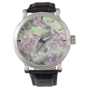 Relógio Phoebe em uma árvore Redbud