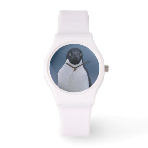 Relógio Pinguim de Adelie no gelo