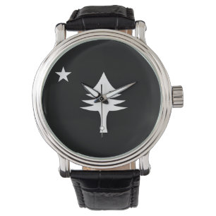 Relógio Pinheiro e estrelado de 1901 do Estado do Maine