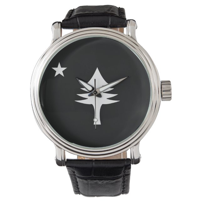 Relógio Pinheiro e estrelado de 1901 do Estado do Maine (Frente)