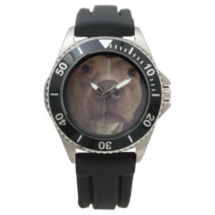 Relógio PIT BULL DOG watch
