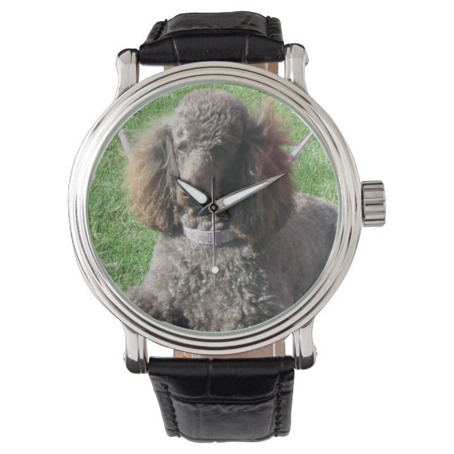 Relógio Poodle Watch (Frente)
