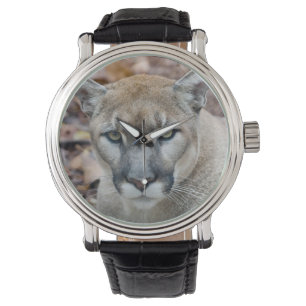 Relógio Puma, leão-da-montanha, pantera-da-flórida, Puma