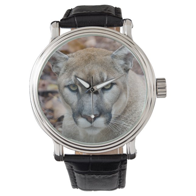 Relógio Puma, leão-da-montanha, pantera-da-flórida, Puma (Frente)