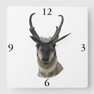 Relógio Quadrado A19 Cabeça de antílope-pronghorn macho de face esc