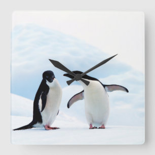 Relógio Quadrado Adelie Penguins