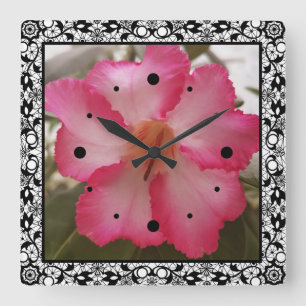 Relógio Quadrado Adenium flores brancas cor-de-rosa flores florais