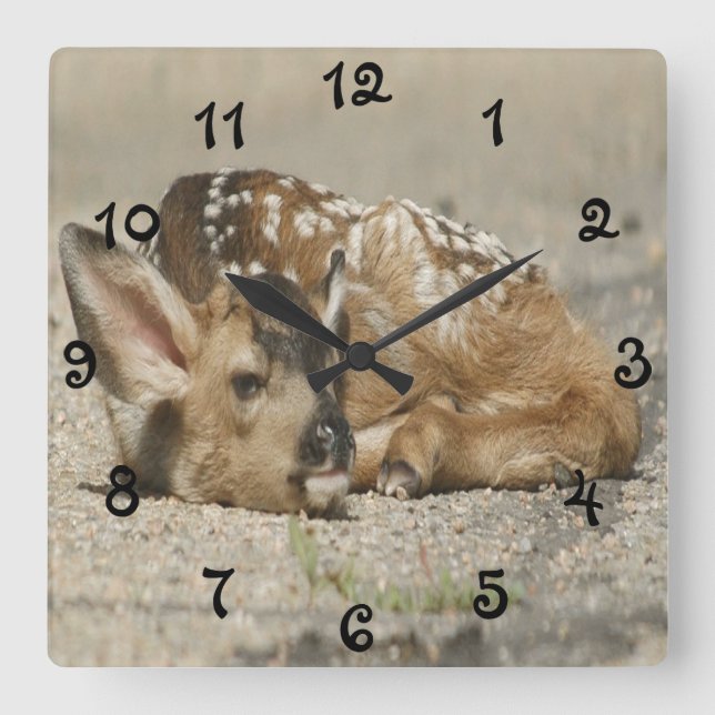Relógio Quadrado Adorável Bebê Fawn (Frente)