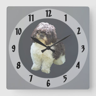 Relógio Quadrado Adorável cachorrinho Shih Tzu