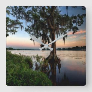 Relógio Quadrado Água Kraft Azalea Park Maitland Florida