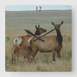 Relógio Quadrado Alces e vitela da vaca E61