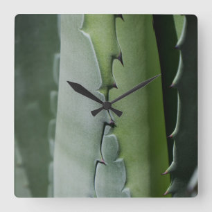 Relógio Quadrado Aloe - Foto Macro Fine Art