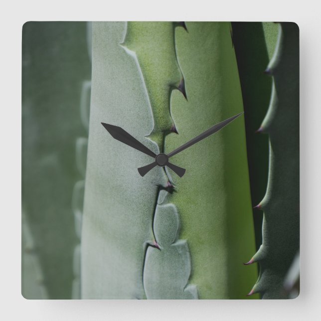 Relógio Quadrado Aloe - Foto Macro Fine Art (Frente)