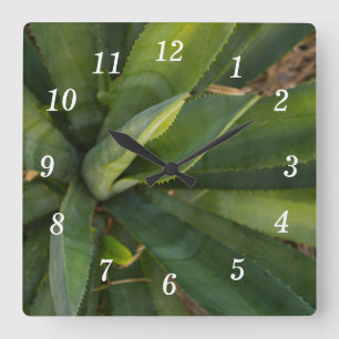 Relógio Quadrado Aloe Vera Wall Clock
