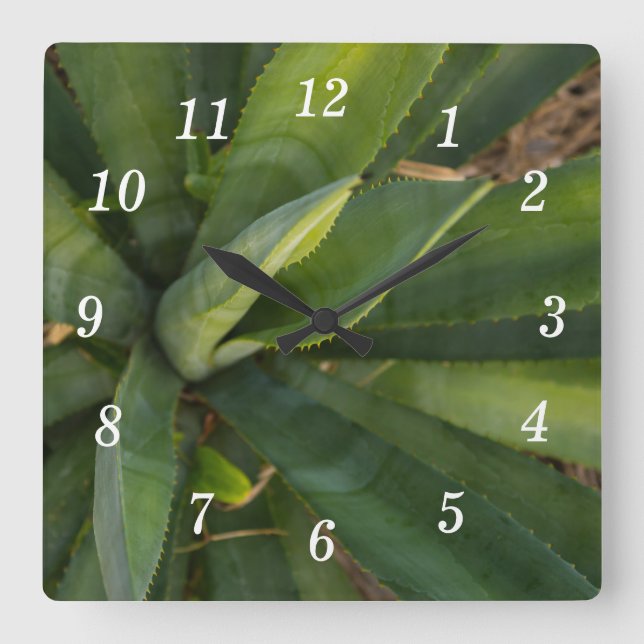 Relógio Quadrado Aloe Vera Wall Clock (Frente)