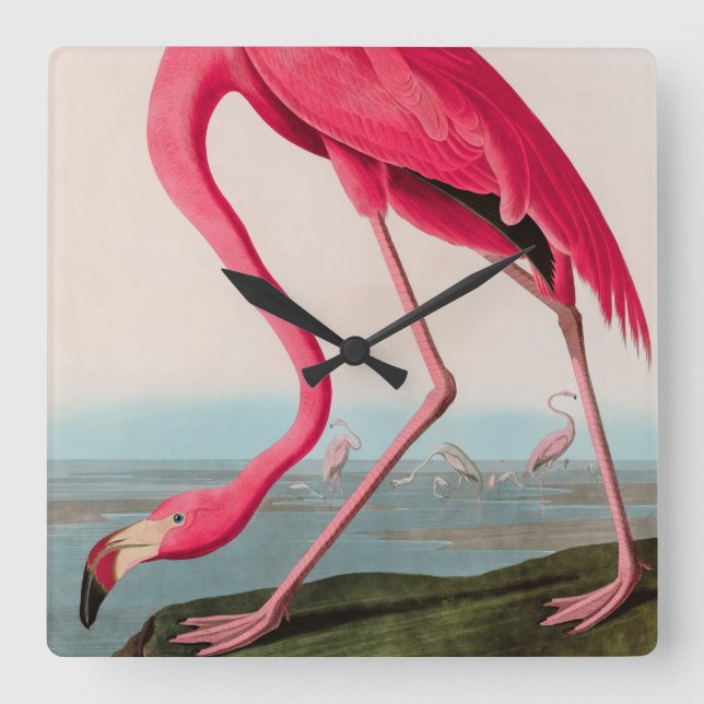 Relógio Quadrado American Flamingo Birds of America Audubon Impress (Frente)