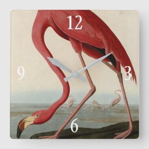 Relógio Quadrado American Flamingo, das Aves da América de Audubon