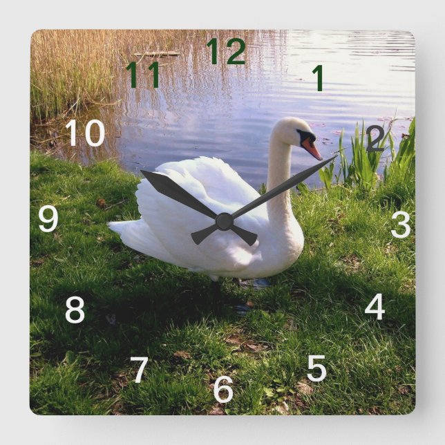 Relógio Quadrado Animais (Frente)