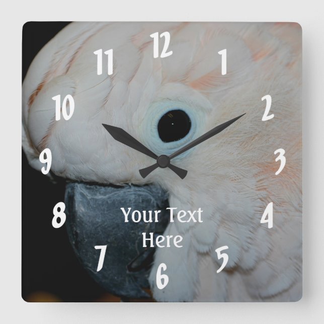 Relógio Quadrado Animais de papagaio Moluco Rosa (Frente)