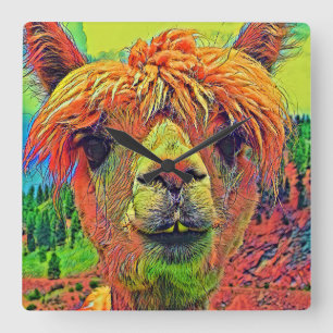 Relógio Quadrado AnimalColor_Alpaca_003