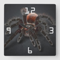 Aracnofobia Tarantula