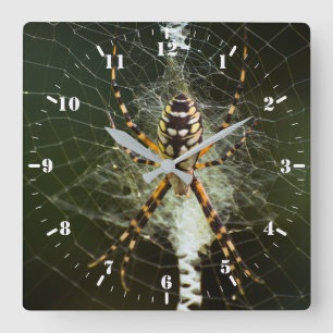 Relógio Quadrado Aranha-do-jardim negra e amarela