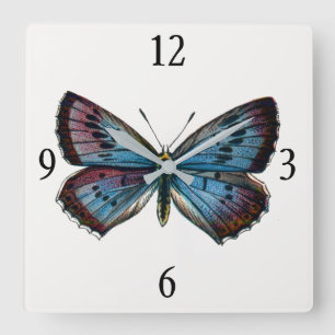 Relógio Quadrado Aron Glaucopsyche - A Grande Borboleta Azul