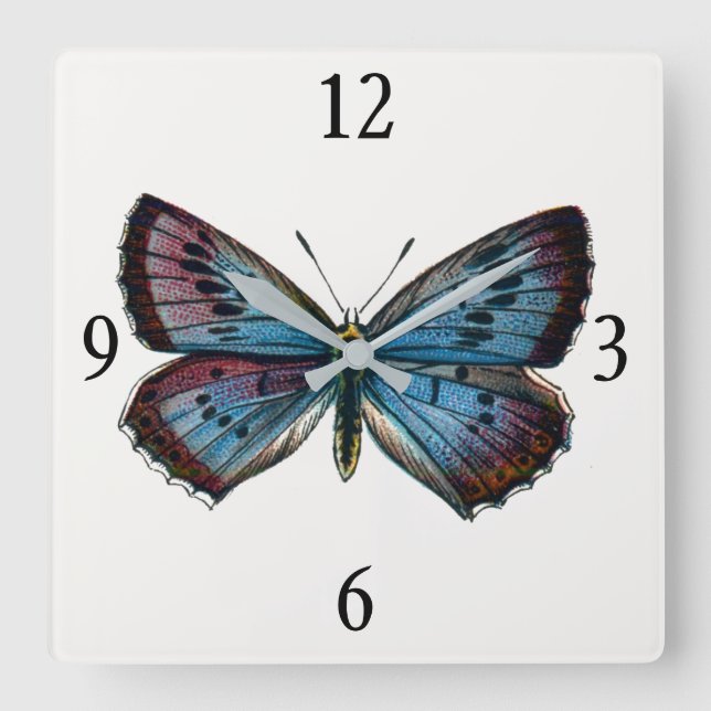 Relógio Quadrado Aron Glaucopsyche - A Grande Borboleta Azul (Frente)