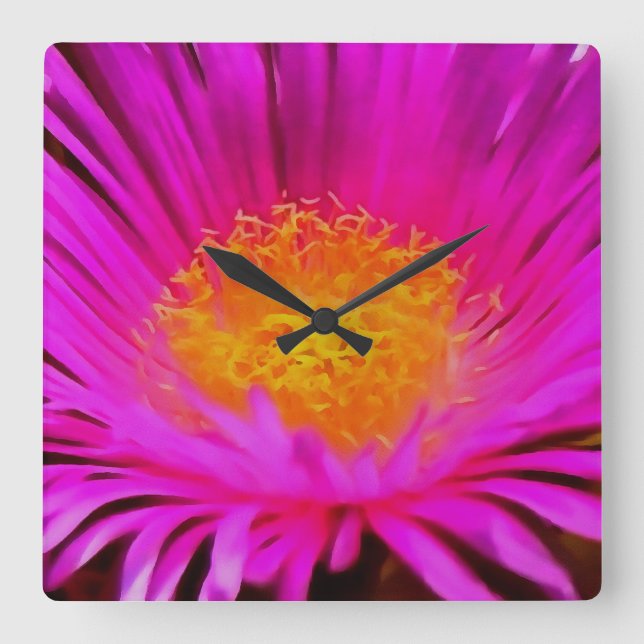 Relógio Quadrado Arte Floral Magenta Rosa-Aster-Flor-Rosa (Frente)
