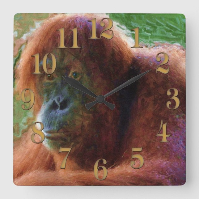 Relógio Quadrado Arte Selvagem Ameaçada de Primatas Orangutan (Frente)