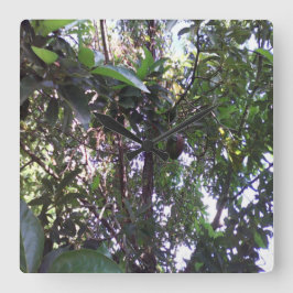Relógio Quadrado Árvore Avocado
