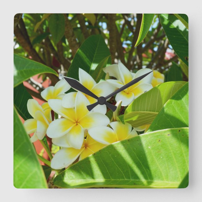 Relógio Quadrado Árvore de Frangipani Amarelo, (Frente)